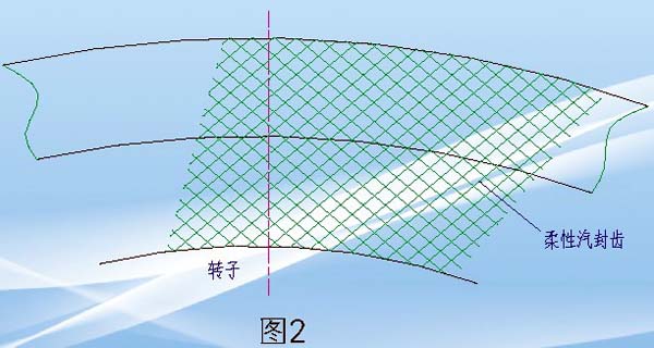 柔齒汽封結構圖2